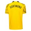 BVB Borussia Dortmund Cup 2023 24 Fotballdrakter