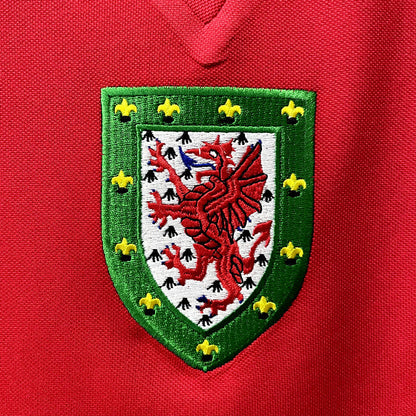 Retro 76 79 Wales Hjemme Fotballdrakter