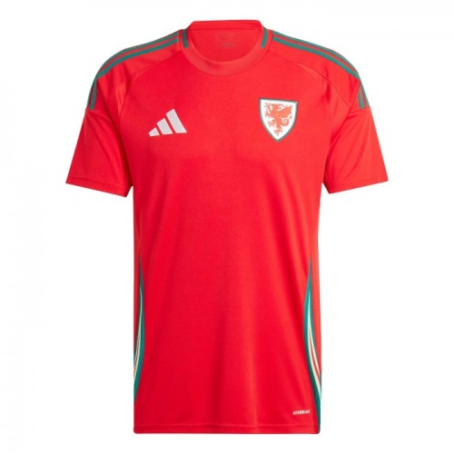 Wales Hjemmedrakt 2024 Fotballdrakter